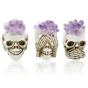 Trilogy of Silence: Set of Three Resin Skull Heads - Picture 1 of 7