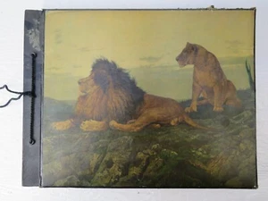 Antique 1940's Family Photo Album Lion Cover 220 Photos Total 15 X 11.5 X 1.25 - Picture 1 of 16