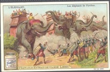 Liebig - The Elephant S701 (French) - The Elephants of Pyrrhus