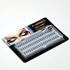 60 Cluster Knot Free Lashes Individual Curl Eye Knotted Flare Eyelashes