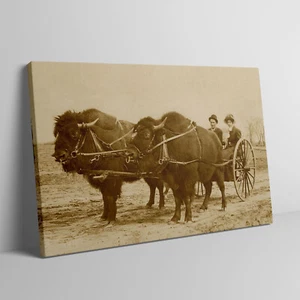 Early 1900s Bison Buffalo Cart Western Americana Cowboy Sepia Canvas Wrap Print  - Picture 1 of 6