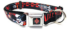 Buckle Down DC HARLEY QUINN In The Cards Large 13" - 21" Neck Dog Collar