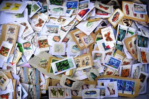 GERMANY SEMI-POSTALS on paper mixture / kiloware 1 lb. (454 grams) - Picture 1 of 1