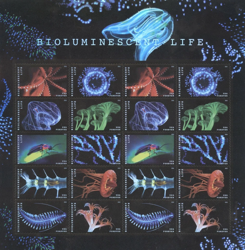 USPS Sheet of Stamps Bioluminescent Life Marine Biology Wildlife Pane MNH 2017 - Image 1 of 1