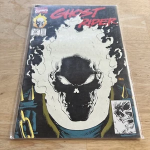 Marvel Comics Ghost Rider #15 Glow in the Dark Cover July 1991 🔥🔥 - Picture 1 of 4