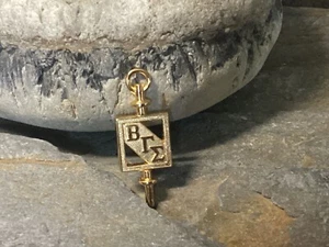 Pin de corbata insignia solapa sociedad honor empresarial Beta Gamma Sigma - Imagen 1 de 5