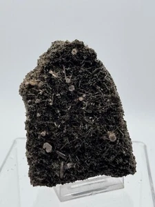 ACTINOLITA APATITO - Imilchil Marruecos - MAROCCO MINERAL COLECCION 8x7x3 K7 - Bild 1 von 6