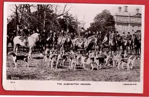 SHROPSHIRE ALBRIGHTON. FUCHSJAGD. PFERDE UND HUND. RP - Bild 1 von 1