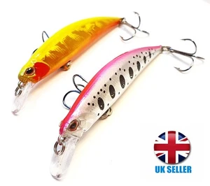 2x Set Gobait Minnow Fishing Lure Hard Artificial Bait 3D Eyes 9 cm 13 G Vobler - Picture 1 of 6