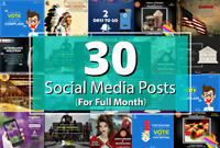  social media management marketing 30 custom  posts  and free scheduler software