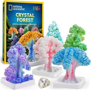 National Geographic Craft Kits for Kids Crystal Growing Kit Grow 6 Crystal - Picture 1 of 7