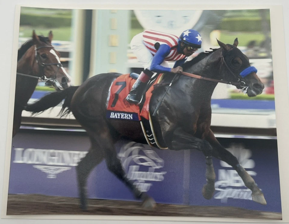 2014 Breeders Cup Grade 1 Classic Bayern & Martin Garcia 8x10 Photo - Image 1 of 4
