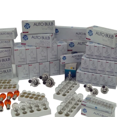 200 St.PROFI Werkstatt Set  KFZ Beleuchtung Birne Autolampen Glühlampen LONGLIFE - Bild 1 von 4