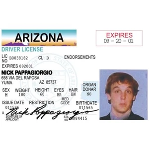 Signs 4 Fun Nidpg Nick Pappageorgio's Driver's License - Picture 1 of 1