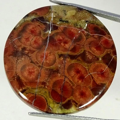 Piedra preciosa redonda de obsidiana de maní 100 % natural de 40,80 quilates 30 mm x 6 mm Foto 1 de 4