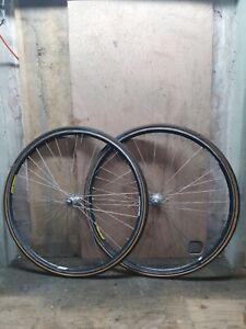 Campagnolo Omega/Record Wheels, Panaracer Pasela Tyres