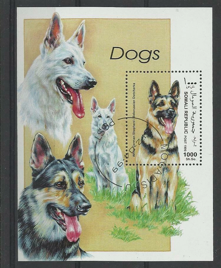  chien dog hund perro Bloc Feuillet oblitéré 70 Somalie - Photo 1/1