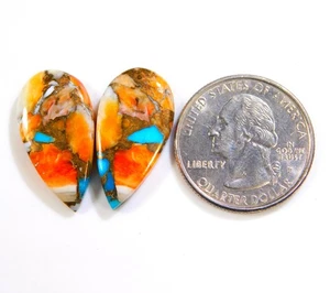 100% Natural Kingman Spiny Oyster Turquoise Pair Pear Cabochon Gemstone BU=256 - Imagen 1 de 6