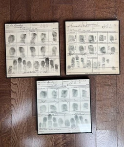Lot 3 Framed Early 20th Century Fingerprint Card Booking Sheet Mugshots 8 x 8 - Picture 1 of 3