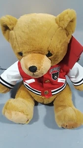 F.A.O SCHARZ PLUSH BEAR 12 INCH - Picture 1 of 3