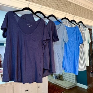 Caslon Cotton & Modal T-Shirt, Size Large - Picture 1 of 29