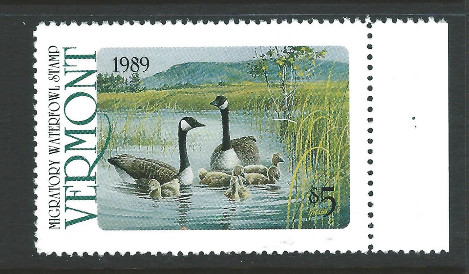 Bigjake: #VT4, $5.00 Canada Geese, 1989 Vermont Duck Stamp - Image 1 of 1
