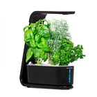 Aerogarden Sprout With Herb Seed Pod Kit - Hydroponic Indoor - Black