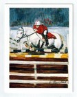New White Horse Equestrian Notecard Set 12 Blank Note Cards Artist Ruth Maystead