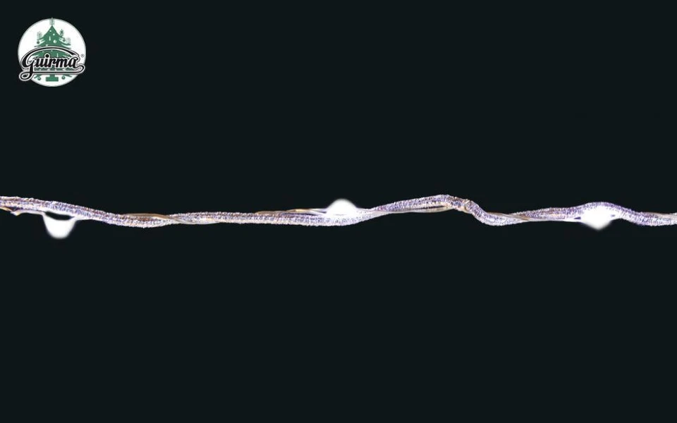 GUIRMA Filo modellabile 20 luci a led bianche a pile