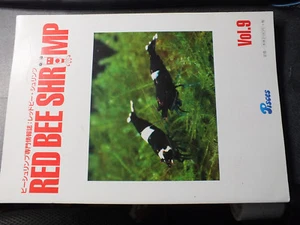 22$$ Revue RED BEE SHRIMP Vol 9 revue aquariophile sur CREVETTES en Japonais - Foto 1 di 1