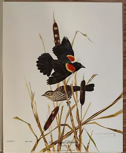 JIM OLIVER ARTISTA AMERICANO DE VIDA SILVESTRE REDWING BLACKBIRD #172 NUMERADO Y FIRMADO - Imagen 1 de 4