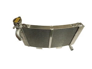 Fit SUZUKI RGV 250 VJ22 1991-1996 Aluminum Radiator - Picture 1 of 8