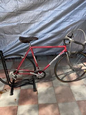 罕见复古 Colnago Sport — 第 1/4 张图片