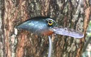 SPEEDBAITS Custom Airbrushed RAPALA WIGGLE WART CLONE - Picture 1 of 11