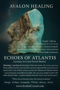 Rare Larimar Coral Fossil Matrix 1.825 kg “Echoes of Atlantis” Dominican Repubic - Picture 1 of 13