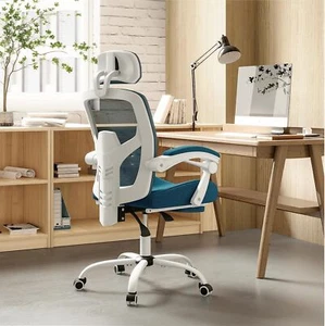 Swivel Mesh Office Chair Ergonomic with Adjustable High Back and Lumbar Support - Picture 1 of 6