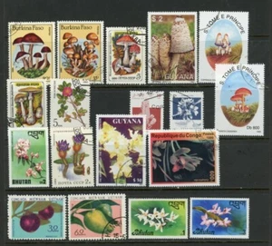 Funghi, fiori, frutta, / W-5-27 / usato - Foto 1 di 1