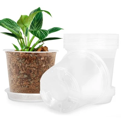 6-дюймовые прозрачные детские горшки для растений с мешочками упаковка 15 шт., пластиковый цветочный горшок... - Изображение 1 из 4