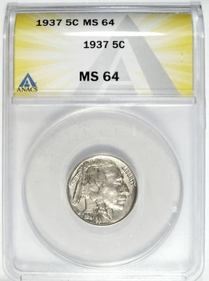 1937 P ANAC's MS 64 Buffalo Nickel ☆☆ Great For Sets ☆☆ Great Set Filler 334 - Image 1 of 2