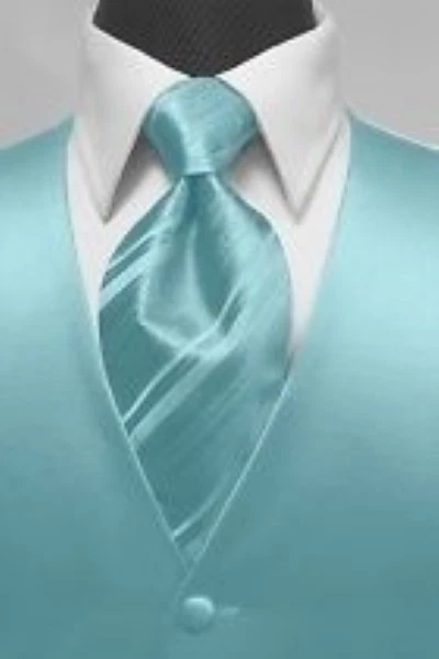 Brand New Luxury Premiere Tuxedo Vest & Striped Necktie - Image 1 of 1