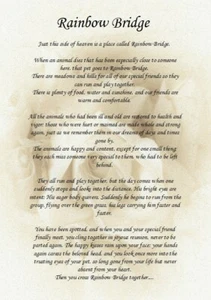 'Rainbow Bridge' Pet Sympathy Card In Memory Of Pet Berievement Loss Keepsake - Picture 1 of 3
