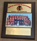 Chicago Blackhawk 1960-61 Hockey Stanley Cup Championship Team Photo Plaque Vint