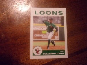 2019 GREAT LAKES LOONS Choice Minor League Single Cards YOU PICK OBO