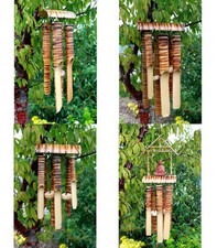 Bamboo