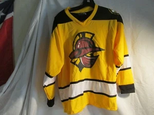 GWINNETT GLADIATORS BOSTON BRUINS PROMO JERSEY YOUTH XL PREOWNED LITE WEAR - Picture 1 of 4