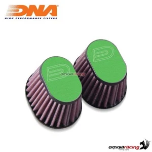 DNA 2 kit de filtre � air vert cuir Boite d'air pour BMW RnineT 2014>2017 - Imagen 1 de 6