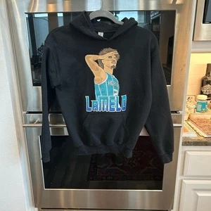 Gildan LaMelo Charlotte hornets hoodie, kids L (10), GUC - Picture 1 of 3