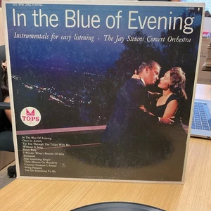 JAY STEVENS CONCERT ORCHESTRA IN THE BLUE OF EVENING VINYL LP TOPS VG 72 - Picture 1 of 4