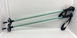 LL Bean Winter Walker 2 pezzi bastoncini telescopici per ciaspole da trekking 78 - 130 cm - Foto 1 di 8