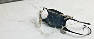 Shark / Skate Egg Casing Pouch Chondrichthyes Mermaid / Devil Purse Sea Shell NM - Picture 1 of 5
